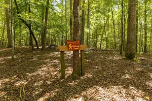 46 Gooseberry Trail, Blue Ridge, GA 30513 - Photo 31