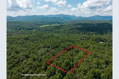 46 Gooseberry Trail, Blue Ridge, GA 30513 - Photo 33