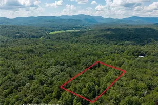 46 Gooseberry Trail, Blue Ridge, GA 30513 - Photo 33