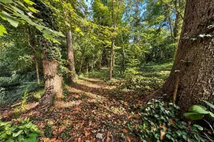 60 Ivy Pkwy NE, Atlanta, GA 30342 - Photo 31