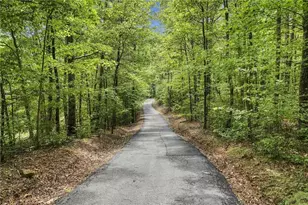 279 Seven Springs Rd, Talking Rock, GA 30175 - Photo 59