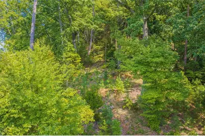 104 Hopewell Drive, Ranger, GA 30734 - Photo 3