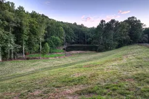 859 Hagin Cir, Ellijay, GA 30536 - Photo 61