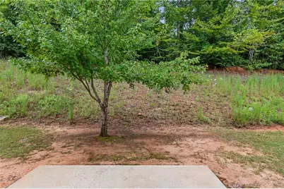 891 Walnut Woods Drive, Braselton, GA 30517 - Photo 43