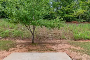 891 Walnut Woods Dr, Braselton, GA 30517 - Photo 43