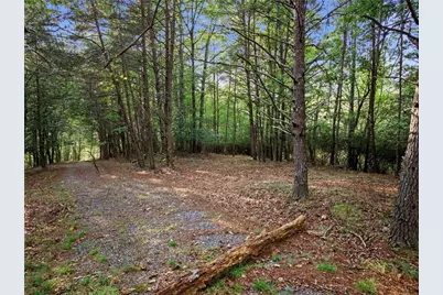Lot 20 Horseshoe Bend Road, Dahlonega, GA 30533 - Photo 5