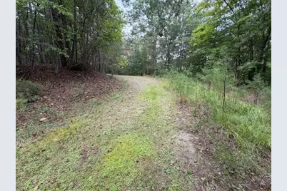 Lot 20 Horseshoe Bend Road, Dahlonega, GA 30533 - Photo 3