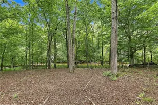 230 Windchime Wy, Tyrone, GA 30290 - Photo 61