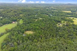 7099 George Barnes Rd, Murrayville, GA 30564 - Photo 33