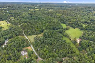 7099 George Barnes Rd, Murrayville, GA 30564 - Photo 35