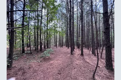697 Donahoo Road SE, Silver Creek, GA 30173 - Photo 7