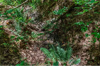 Lt103R Mountain Creek Hollow Drive, Talking Rock, GA 30175 - Photo 13