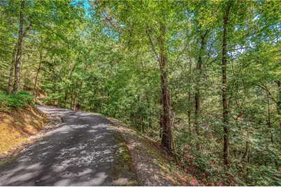 Lt103R Mountain Creek Hollow Drive, Talking Rock, GA 30175 - Photo 9