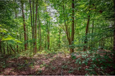 Lt103R Mountain Creek Hollow Drive, Talking Rock, GA 30175 - Photo 5