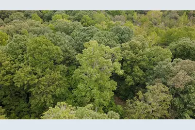 263 Cole Lake Drive, Toccoa, GA 30577 - Photo 19