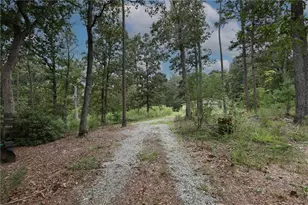 263 Cole Lake Dr, Toccoa, GA 30577 - Photo 27