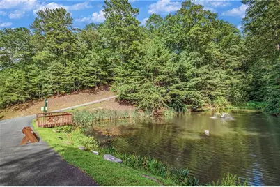 Lt104 Mountain Creek Hollow Drive, Talking Rock, GA 30175 - Photo 43