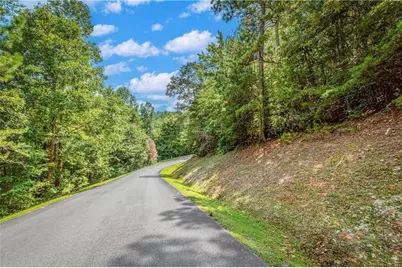 Lt104 Mountain Creek Hollow Drive, Talking Rock, GA 30175 - Photo 13