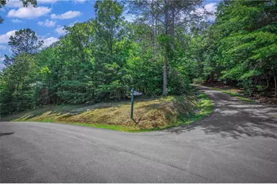 Lt104 Mountain Creek Hollow Drive, Talking Rock, GA 30175 - Photo 9