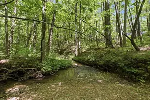 4956 Burnt Mountain Rd, Ellijay, GA 30536 - Photo 51