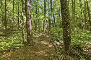 4956 Burnt Mountain Rd, Ellijay, GA 30536 - Photo 49