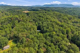 250 McCollum Rd, Ellijay, GA 30540 - Photo 37