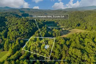 135 Hannah Way, Ellijay, GA 30540 - Photo 7