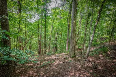 4.7Ac Mountain Creek Hollow Drive, Talking Rock, GA 30175 - Photo 25