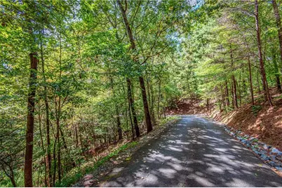 4.7Ac Mountain Creek Hollow Drive, Talking Rock, GA 30175 - Photo 21