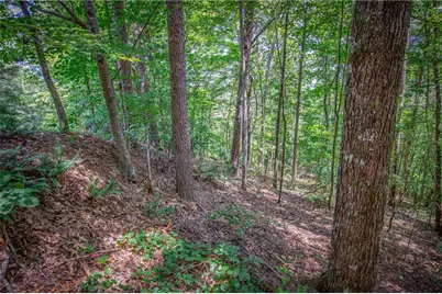 4.7Ac Mountain Creek Hollow Drive, Talking Rock, GA 30175 - Photo 11