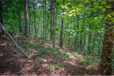 4.7Ac Mountain Creek Hollow Drive, Talking Rock, GA 30175 - Photo 9