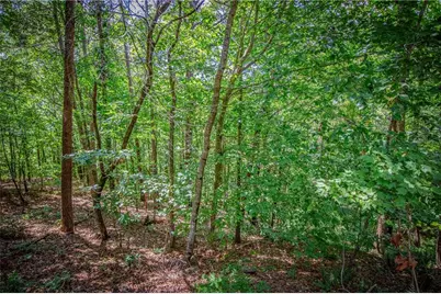 4.7Ac Mountain Creek Hollow Drive, Talking Rock, GA 30175 - Photo 29