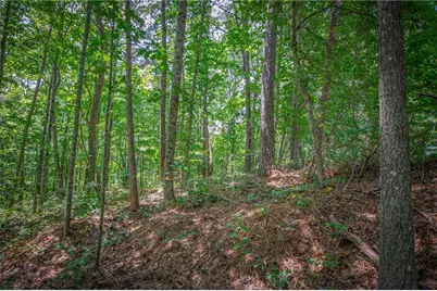 4.7Ac Mountain Creek Hollow Drive, Talking Rock, GA 30175 - Photo 17