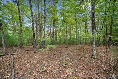 0 Trout Line Court, Talking Rock, GA 30175 - Photo 5