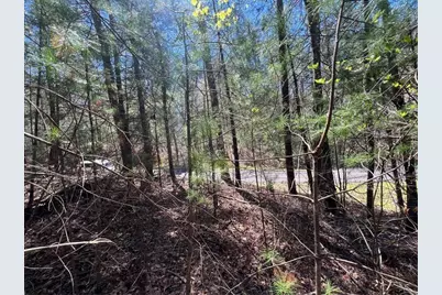 0 Trout Line Court, Talking Rock, GA 30175 - Photo 11