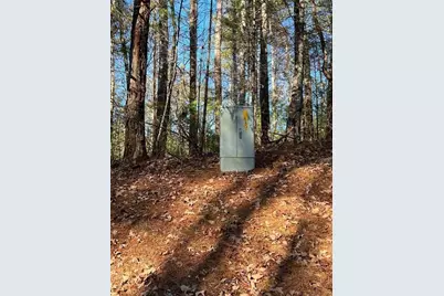 0 Trout Line Court, Talking Rock, GA 30175 - Photo 15