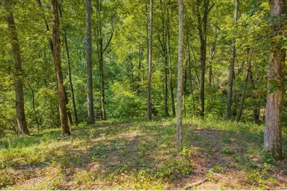 0 Lower Knoll Court, Talking Rock, GA 30175 - Photo 3