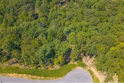 0 Lower Knoll Court, Talking Rock, GA 30175 - Photo 5