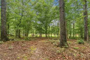 1639 Flowery Branch Rd, Auburn, GA 30011 - Photo 53
