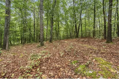 1639 Flowery Branch Road, Auburn, GA 30011 - Photo 51