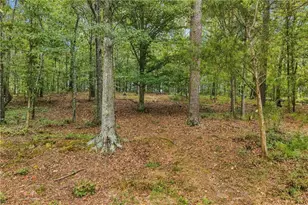 1639 Flowery Branch Rd, Auburn, GA 30011 - Photo 57