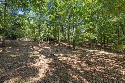 292 Foggy Bottom Drive, Carrollton, GA 30116 - Photo 47
