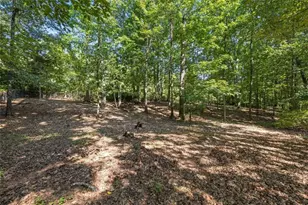 292 Foggy Bottom Dr, Carrollton, GA 30116 - Photo 47