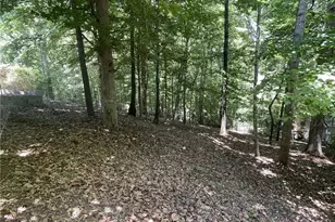 14 Rayelee Cir, Jasper, GA 30143 - Photo 75