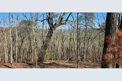 877 Lake Arrowhead Drive, Waleska, GA 30183 - Photo 3