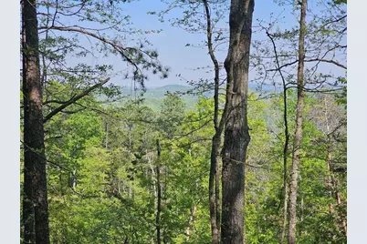 391 Meteor Court, Ranger, GA 30734 - Photo 23