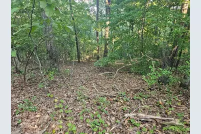 391 Meteor Court, Ranger, GA 30734 - Photo 21