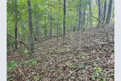 391 Meteor Court, Ranger, GA 30734 - Photo 3