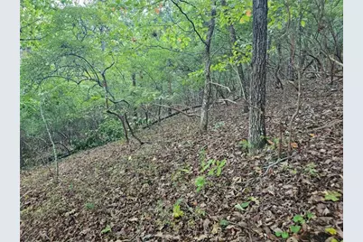 391 Meteor Court, Ranger, GA 30734 - Photo 9