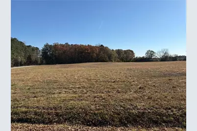 0 Adams Road, Covington, GA 30014 - Photo 3